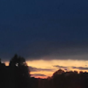 Meet your Posher, Bridget